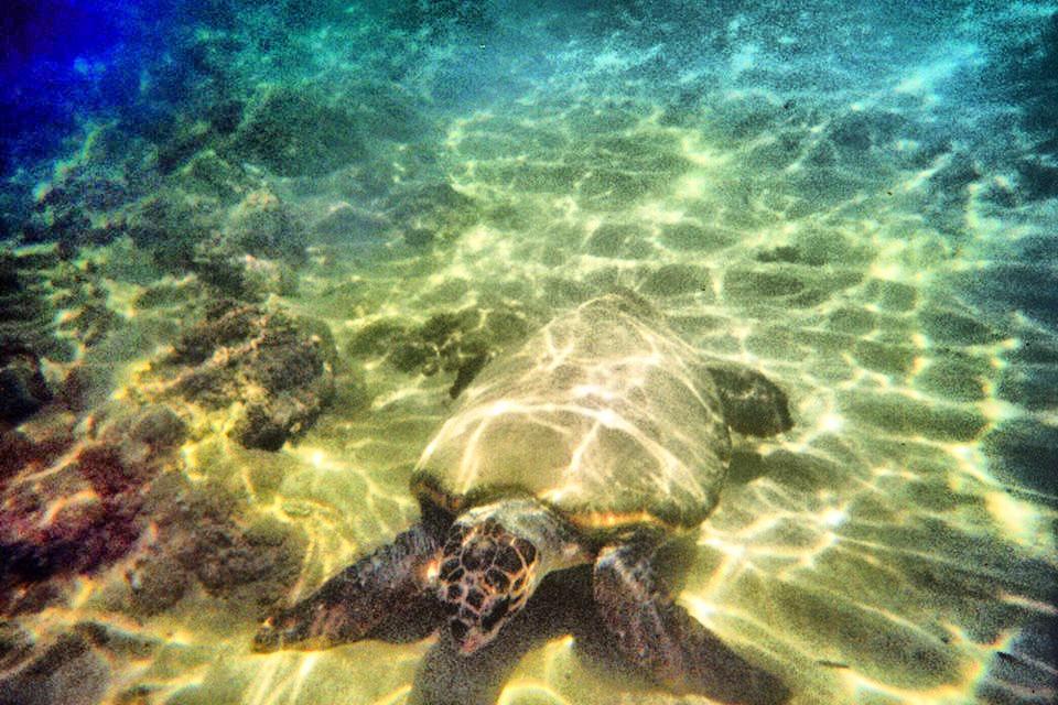 Alkionis Beach Stavromenos Bagian luar foto